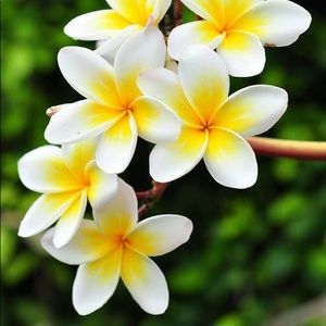 Meet your Posher, Vicky